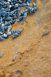 Similar image 2921467