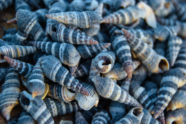 Similar image 2921468