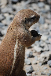 Similar image 2921471