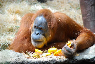 Similar image 2921472