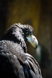 Similar image 2921474