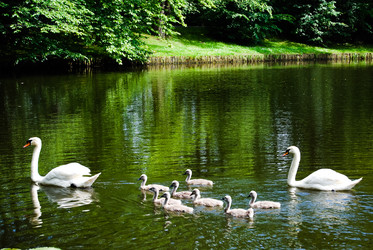 Similar image 2921476