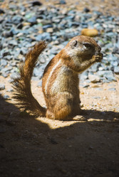 Similar image 2921479