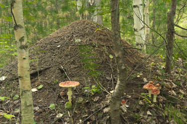 Similar image 2921489