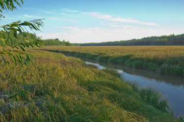 Similar image 2921494