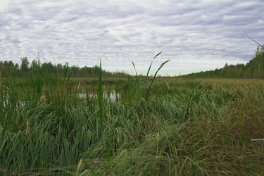 Similar image 2921505