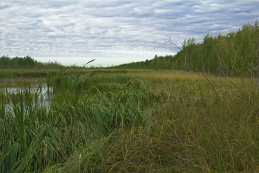 Similar image 2921506