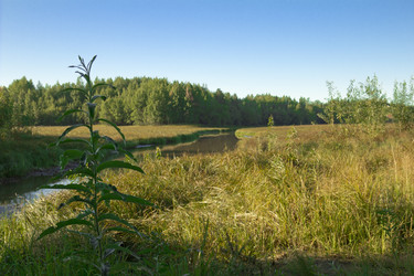 Similar image 2921511