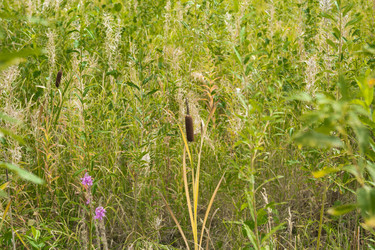 Similar image 2921512