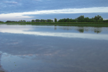 Similar image 2921515