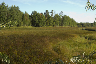 Similar image 2921519