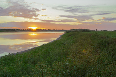 Similar image 2921520