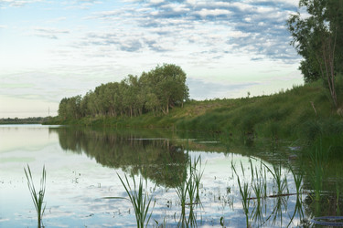 Similar image 2921523