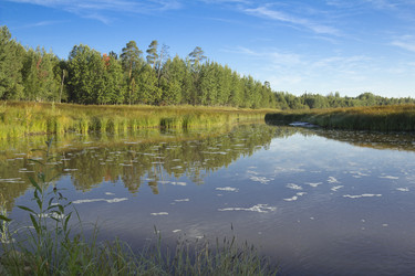 Similar image 2921527