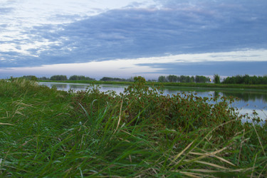 Similar image 2921530