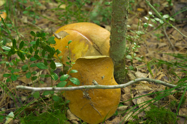 Similar image 2921529