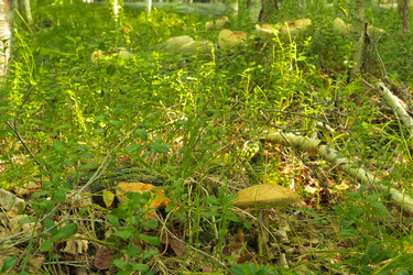 Similar image 2921535