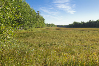 Similar image 2921540