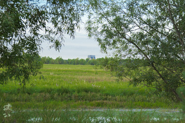 Similar image 2921548