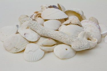 Similar image 2921559