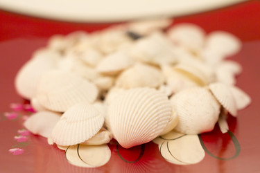 Similar image 2921566