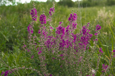 Similar image 2921571