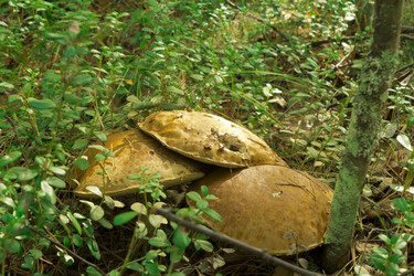 Similar image 2921582