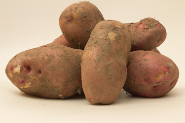 Similar image 2921592