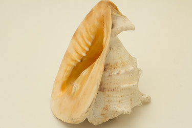 Similar image 2921633