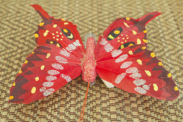 Similar image 2921644