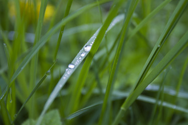 Similar image 2921650