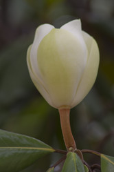 Similar image 2921653