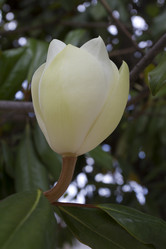 Similar image 2921655