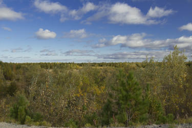 Similar image 2921671