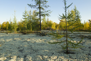 Similar image 2921689