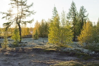 Similar image 2921692