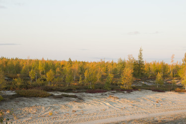 Similar image 2921697