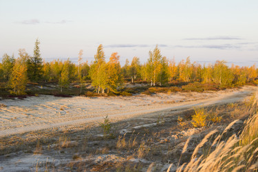 Similar image 2921698