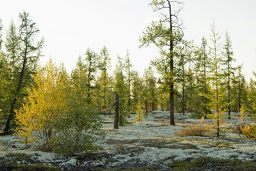 Similar image 2921699