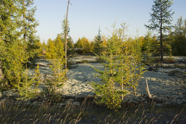 Similar image 2921701