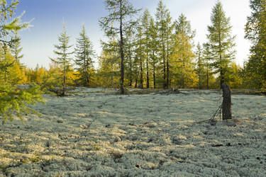 Similar image 2921702