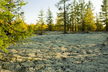 Similar image 2921703