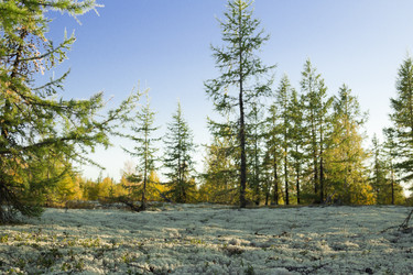 Similar image 2921704