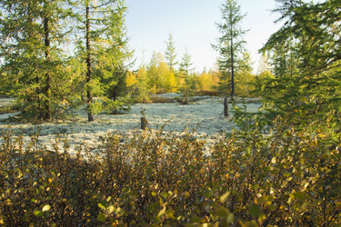 Similar image 2921705