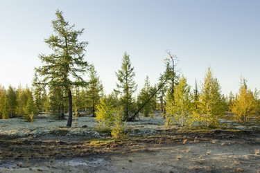 Similar image 2921710