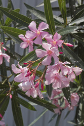 Similar image 2921790