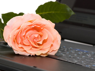 Similar image 2921795