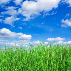 Similar image 2921799