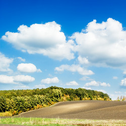 Similar image 2921800