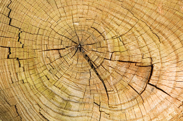 Similar image 2921807